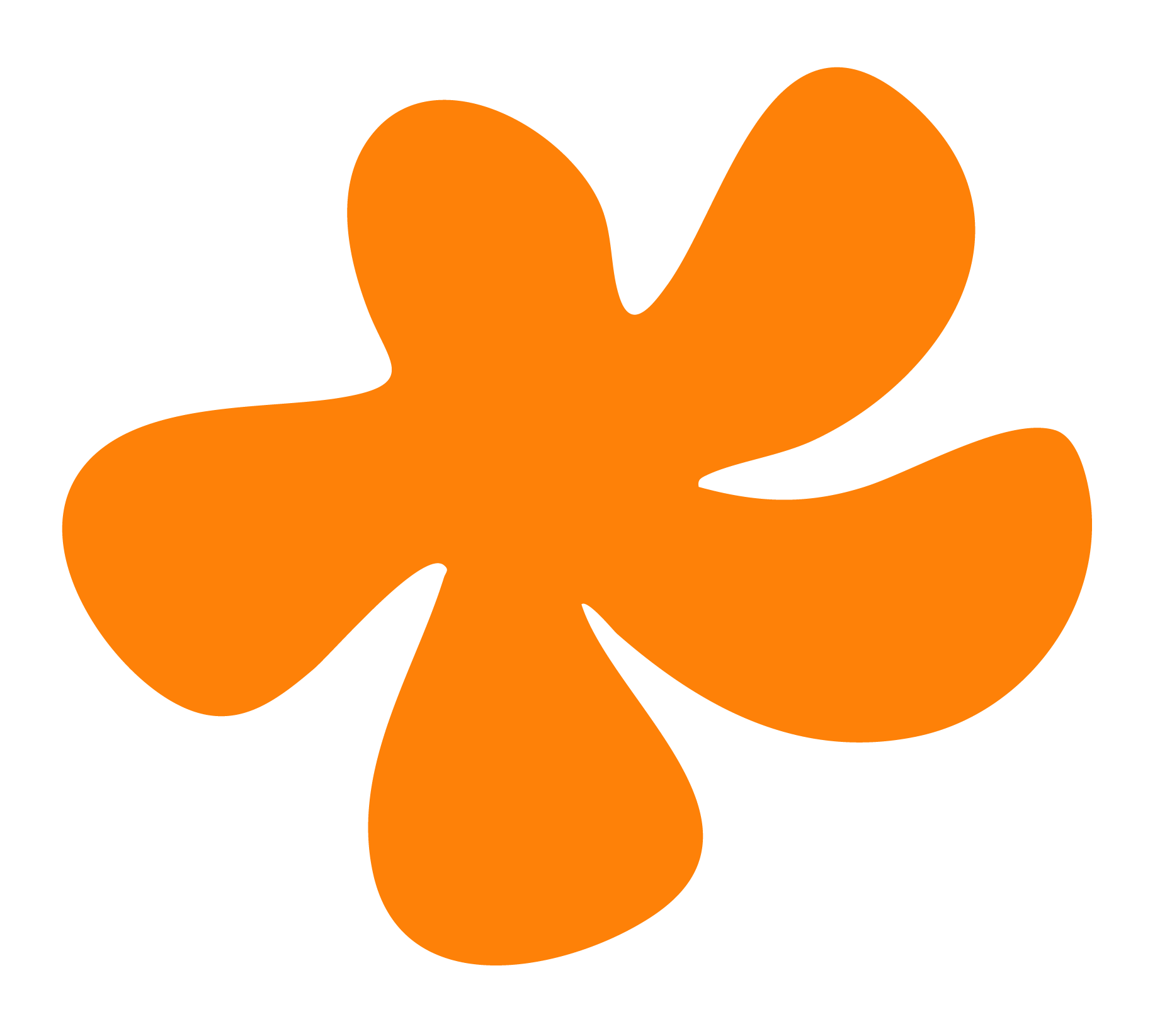 Bloem Guuusje oranje